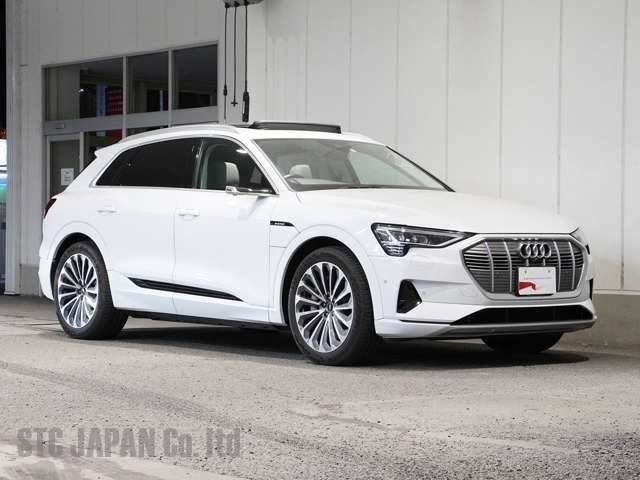Audi E-tron  occ Image